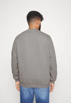 Pier One Sweatshirt - Grey 8 Pier One Sweatshirt - Grey -Pier One c564088c3a73467da691477ad379a634 scaled